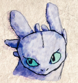 キク