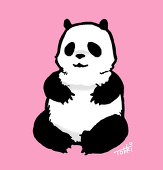 tokki