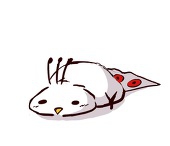 白雀