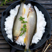 焼魚