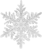 雪饅頭