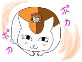 黒尾猫