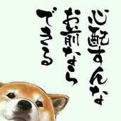 ななし