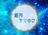 週刊うちのこ