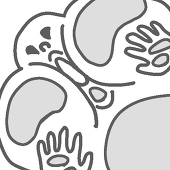 aco