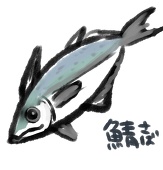 綱子