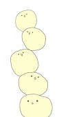 弥生