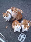 みよちよ