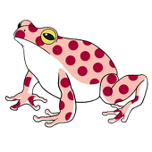 メガ