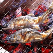 焼き魚