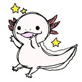 りんこ