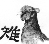 akuta5963