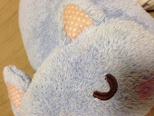 こくとう