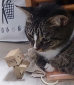 蒼木犀