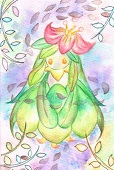 月鏡