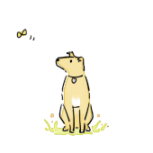 nyo