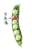あかぴーす