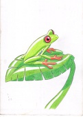 Kakeru