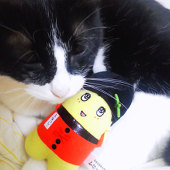 ぼんじり