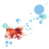 ににこ