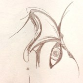 あや