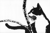 しゃむしょ