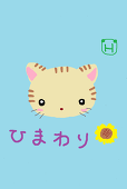 ひまわり「HARU」のんびり