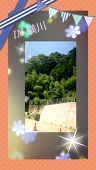 彗ノ雫