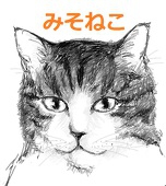 misoneko@2525