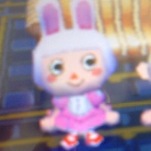どるふぃん