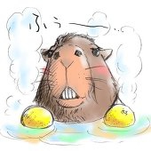 かぴばら