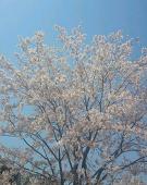 いちる*停滞中