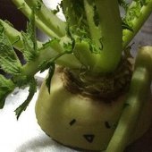 大根