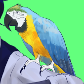 sil