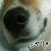 へび苺