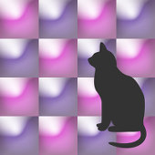 灰猫