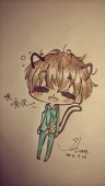 小柴犬