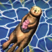 らっこ