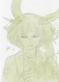 Shikiカワセミ
