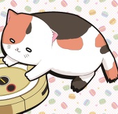 はせたく