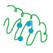 まこもと