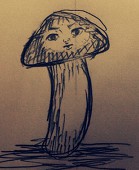 やの