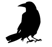小鳥遊 朱鳥