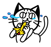 ただのねこ