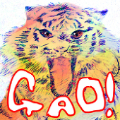 こいん