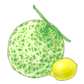アヤ