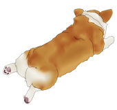 わん公