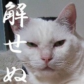 なつごろう