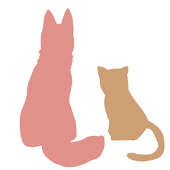 飽き