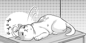 どぶ猫